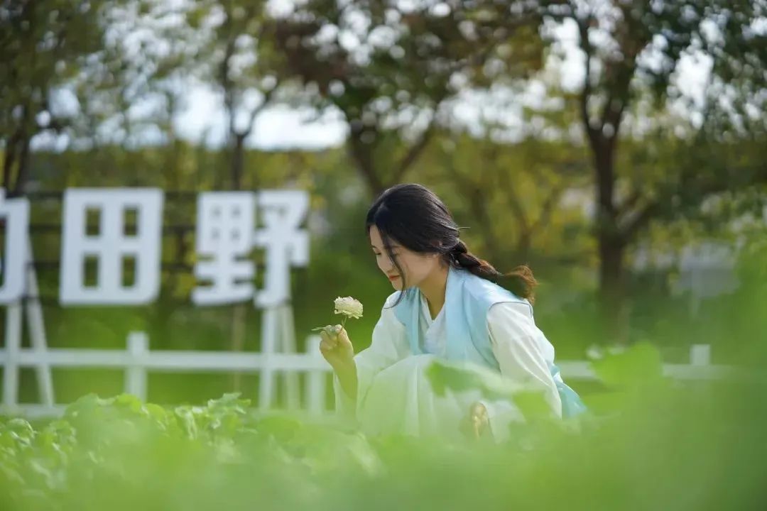 鼓浪屿可以当天预订船票攻略 (鼓浪屿还有免费的船票吗)