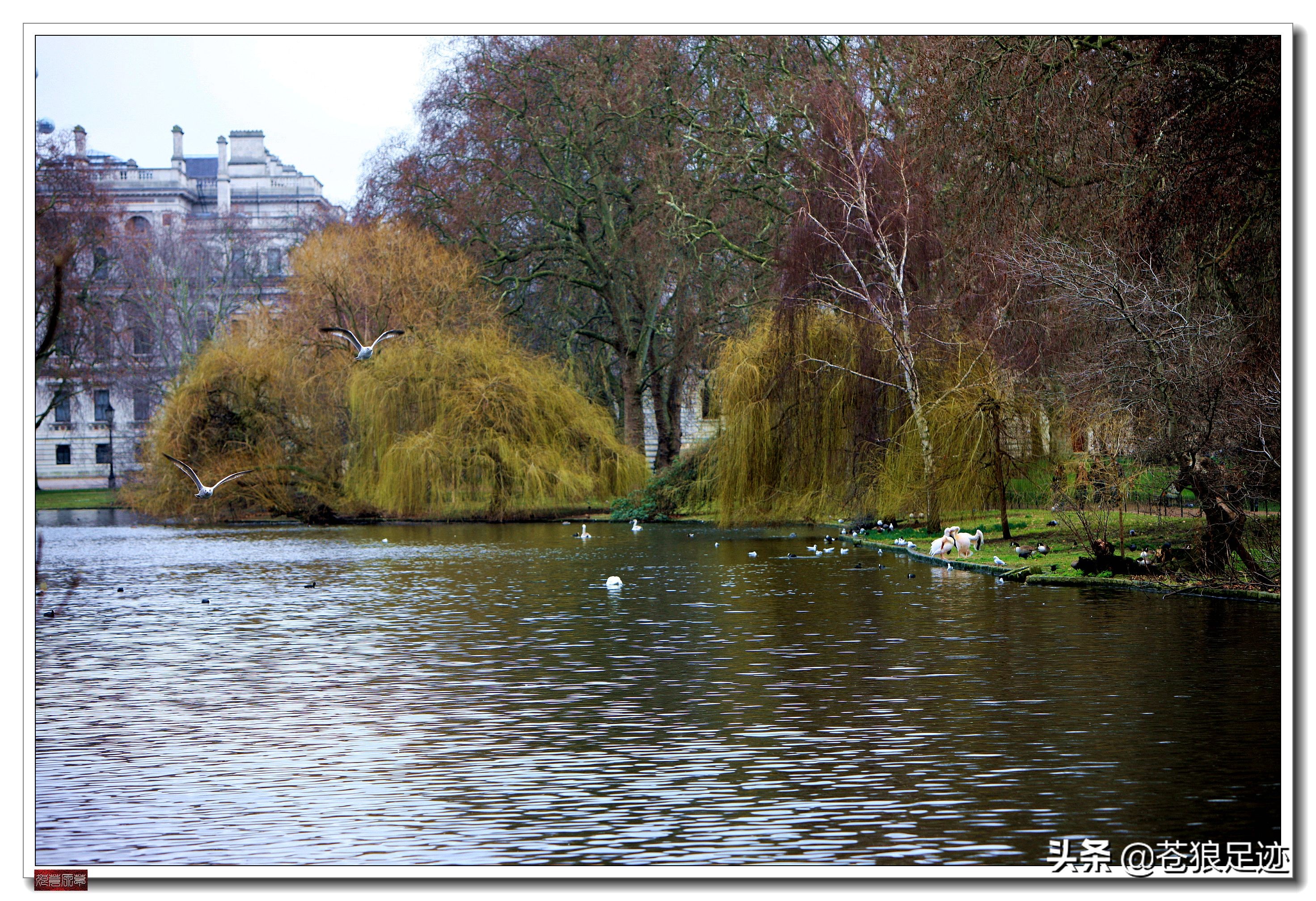 英国海德公园全景,英国皇家园林海德公园