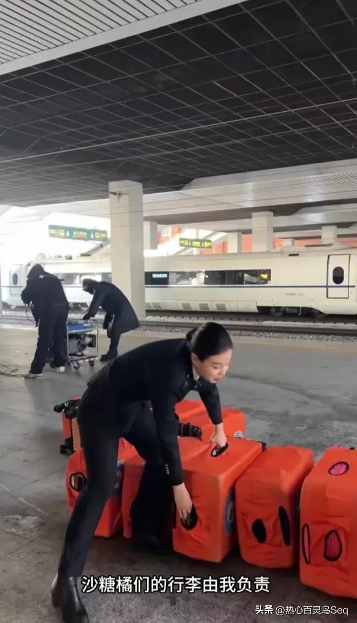 女孩去纹身结果喜欢上了纹身师,陪老婆去纹身