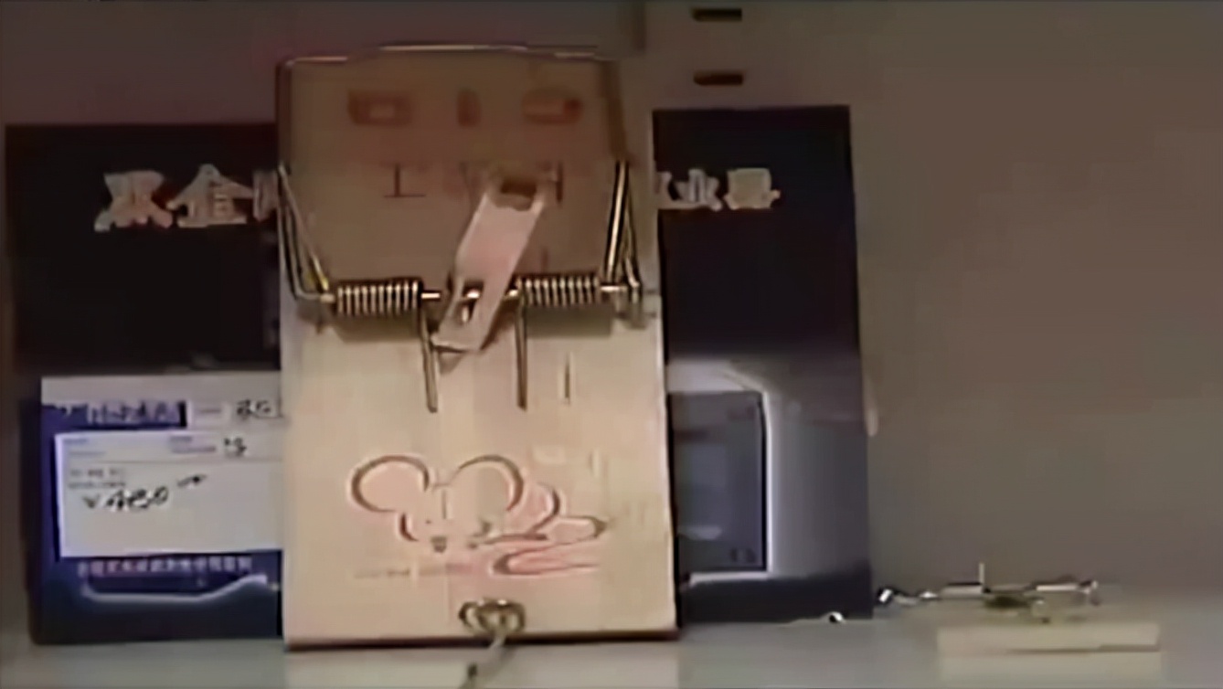 鼠王被抓叫来老鼠报复咬人,老鼠爬到床上为什么还会咬人