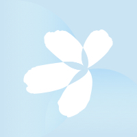 怀念已故大姐,怀念大姐的歌曲完整版