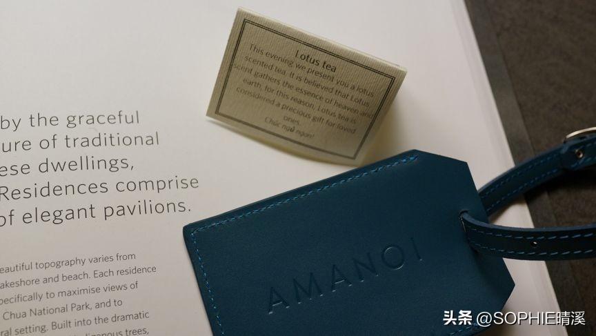 从广州到越南胡志明要多长时间,从广州到越南河内坐飞机几个小时