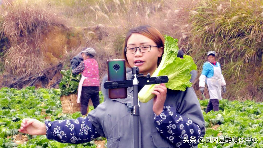 【代表风采】刘一燕：发展电商引货出山建言献策促发展