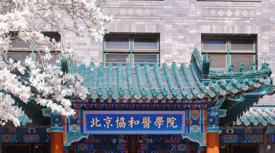 医学类中国协和医学院排名,北京协和医学院历年排名