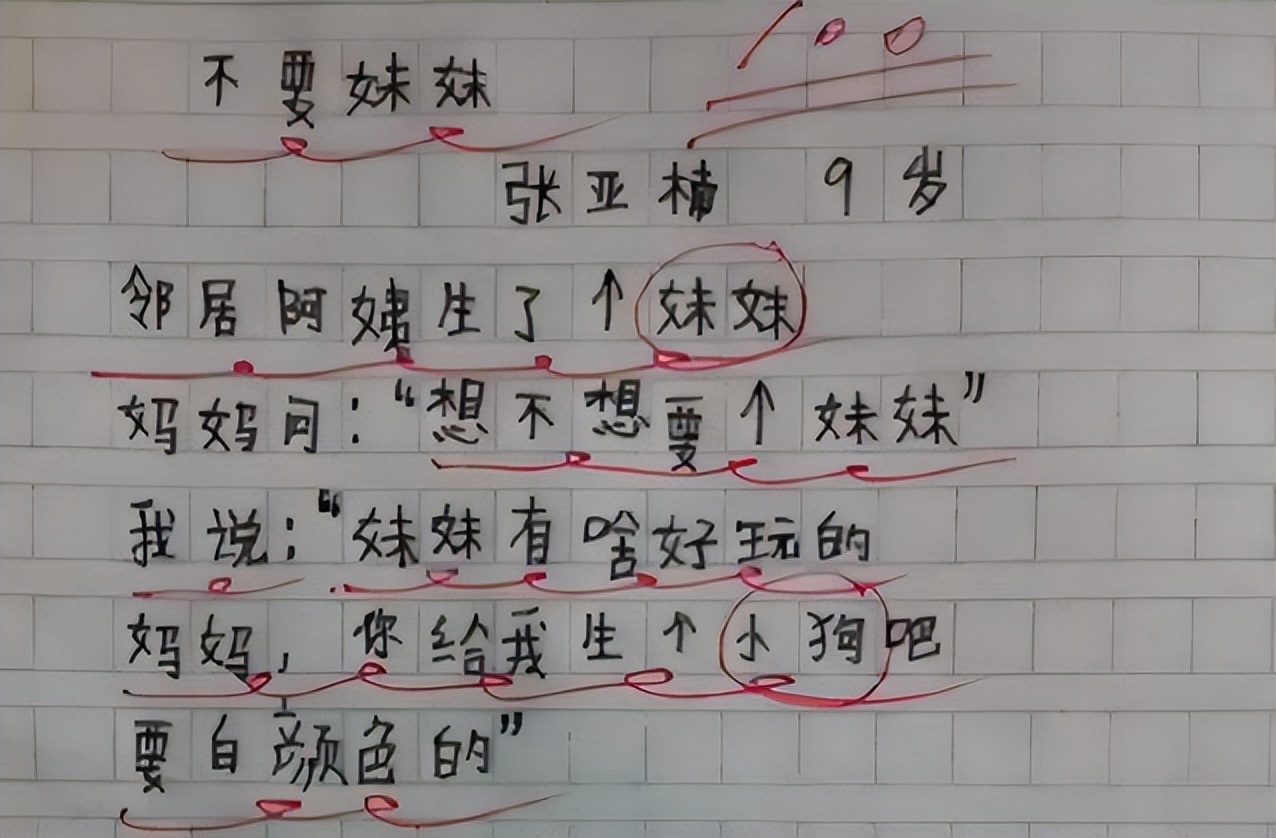 小学生作文借5000元,关于借钱的作文100字