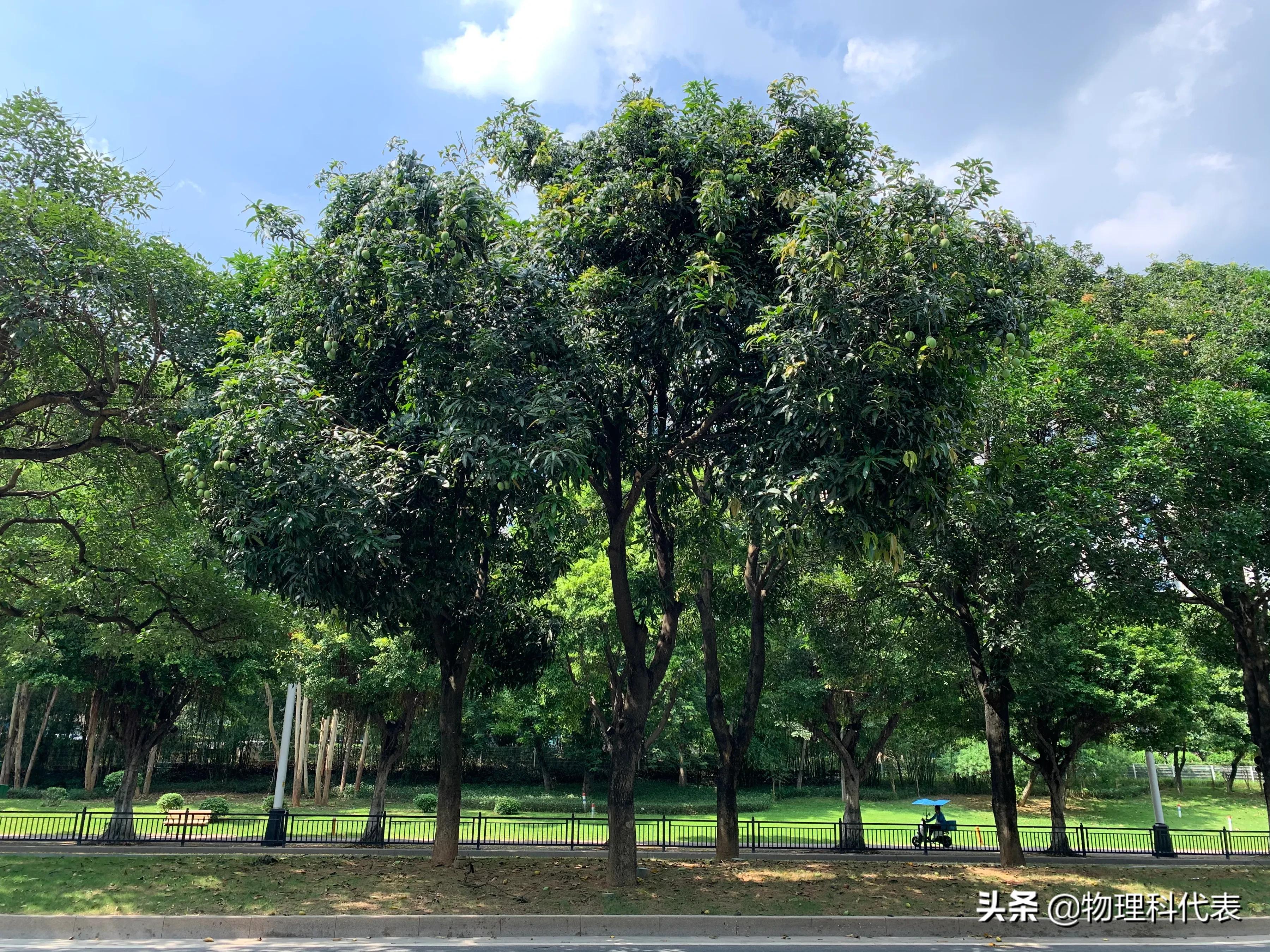 广州科学城最新发展规划,广州科学城2022年重点项目