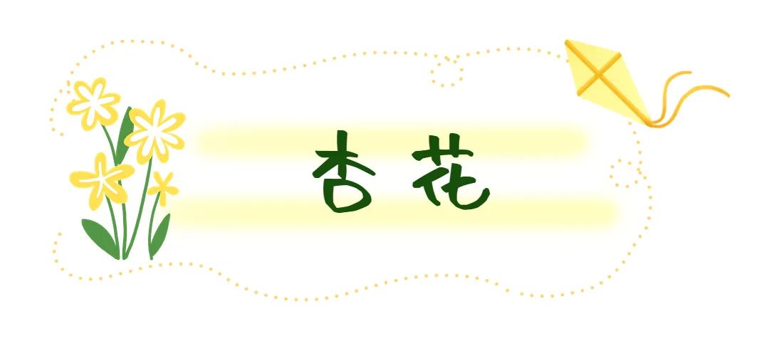 济南这个周末适合哪里赏花,济南春天赏花好去处