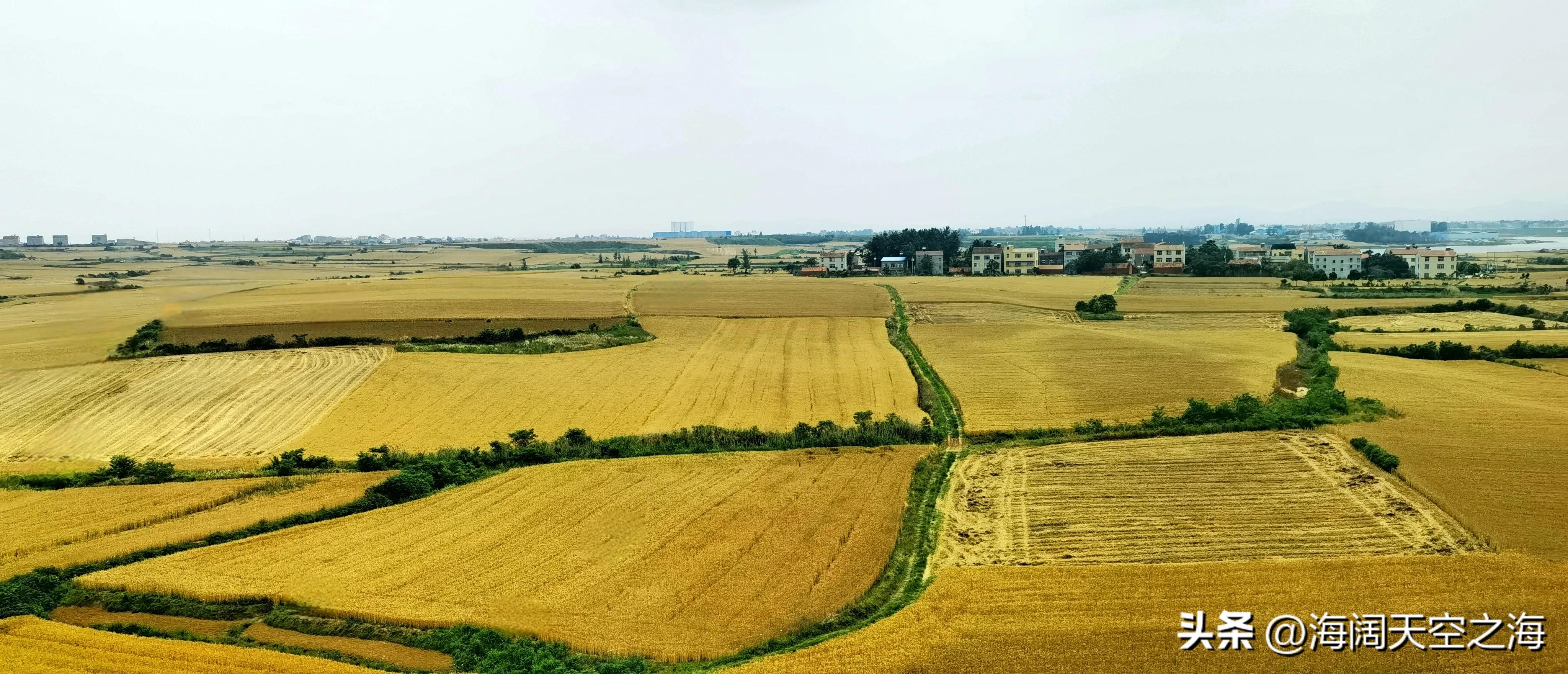 风吹麦浪完整版,风吹麦浪