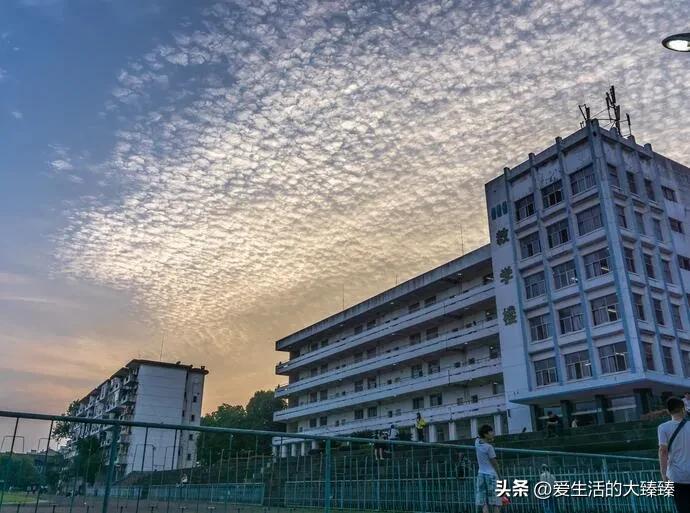 20年前网络发展,20年前互联网发展状况