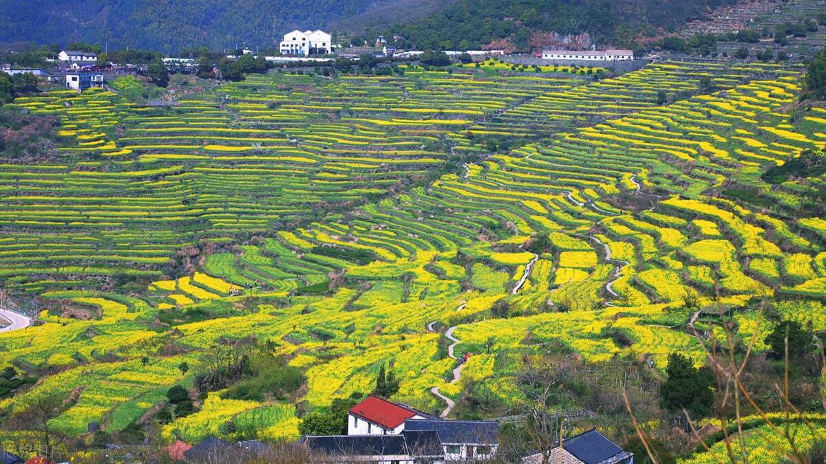 尘肺三级工伤怎么处理,职业病尘肺三期赔偿标准
