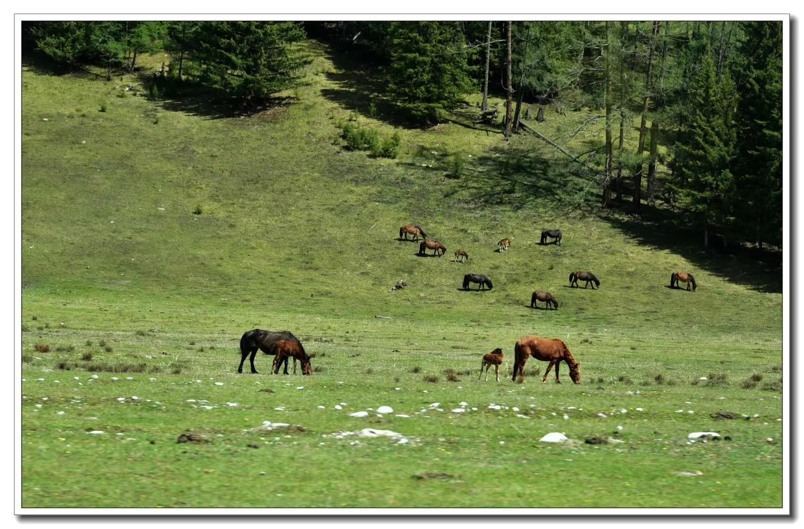 五伦关系的父子包括哪些方面,五伦关系中的父子之伦的含义