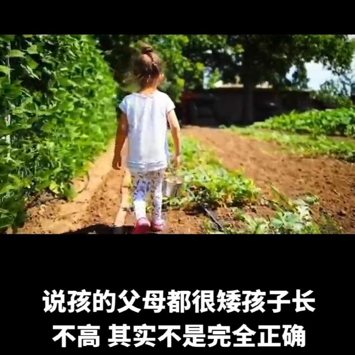 个子矮的孩子怎么快速长高,孩子个子矮三个方法让孩子长高