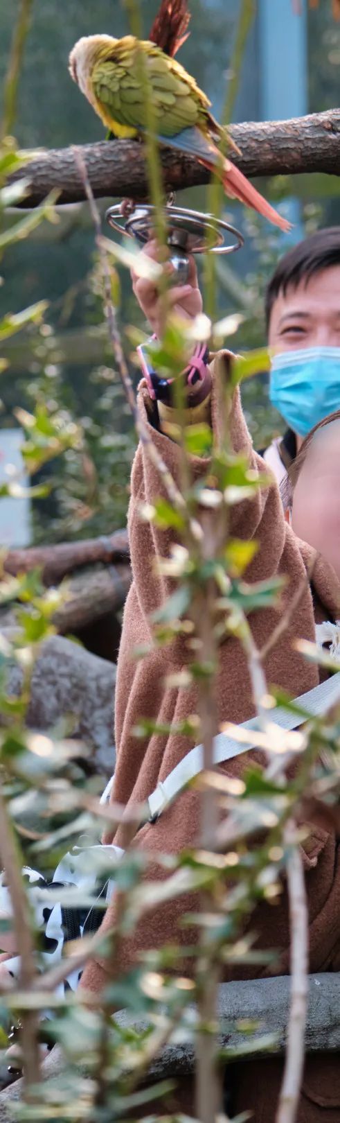 红山动物园亏损3千万网友很着急,近两年疫情原因导致亏损如何翻身