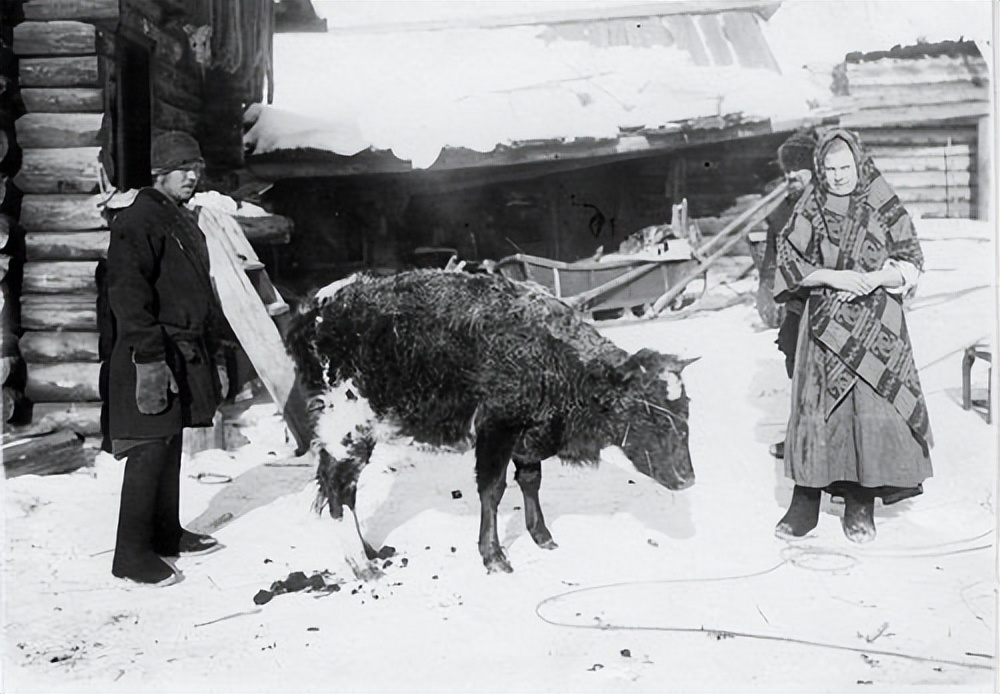 俄罗斯为什么可以征服西伯利亚,为什么俄罗斯可以征服西伯利亚