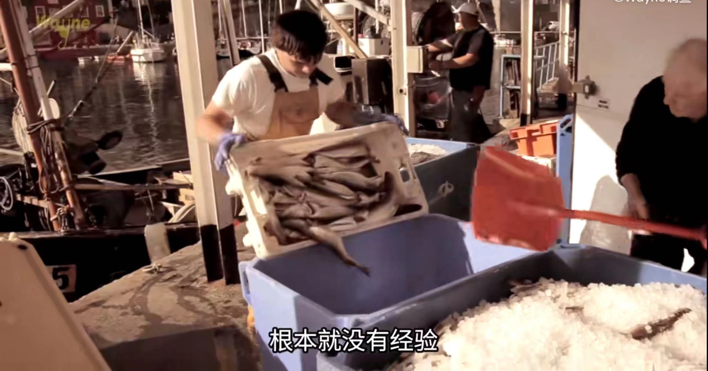 中国渔民杀韩国船长船员事件,韩国渔船船长被杀事件