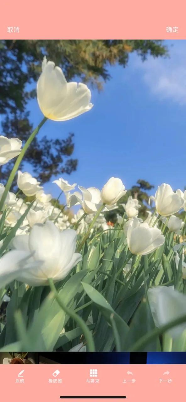 微信朋友圈怎样把照片拼接成长图,如何将几张图片拼接成长图