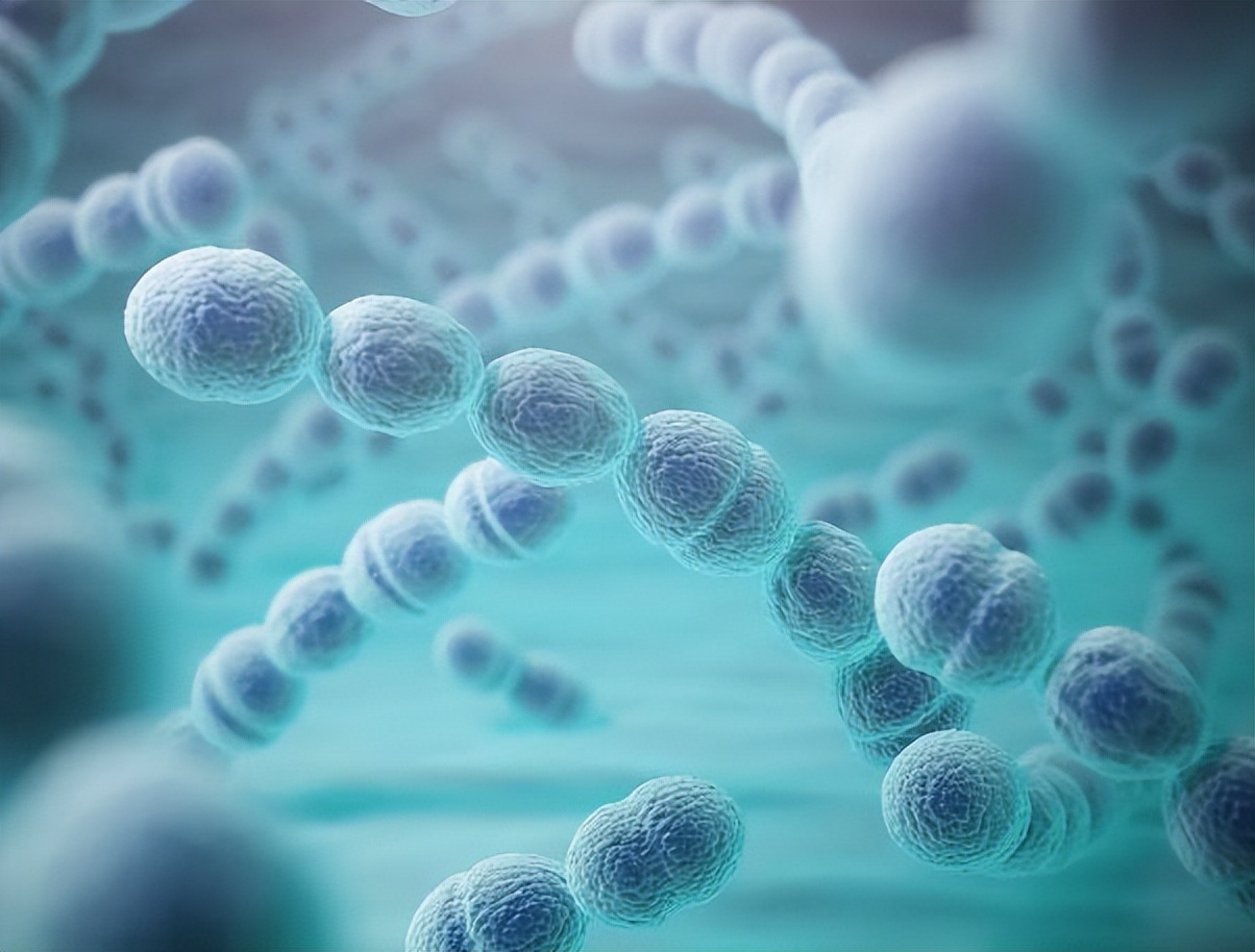 阿莫西林药是不是属于头孢,阿莫西林药属于青霉素之类吗