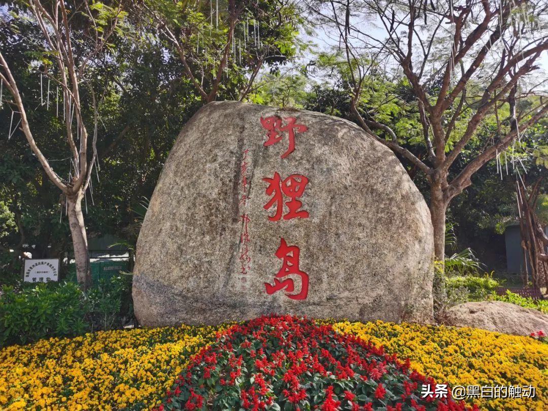 珠海最干净的海滩排名,珠海值得去的城市