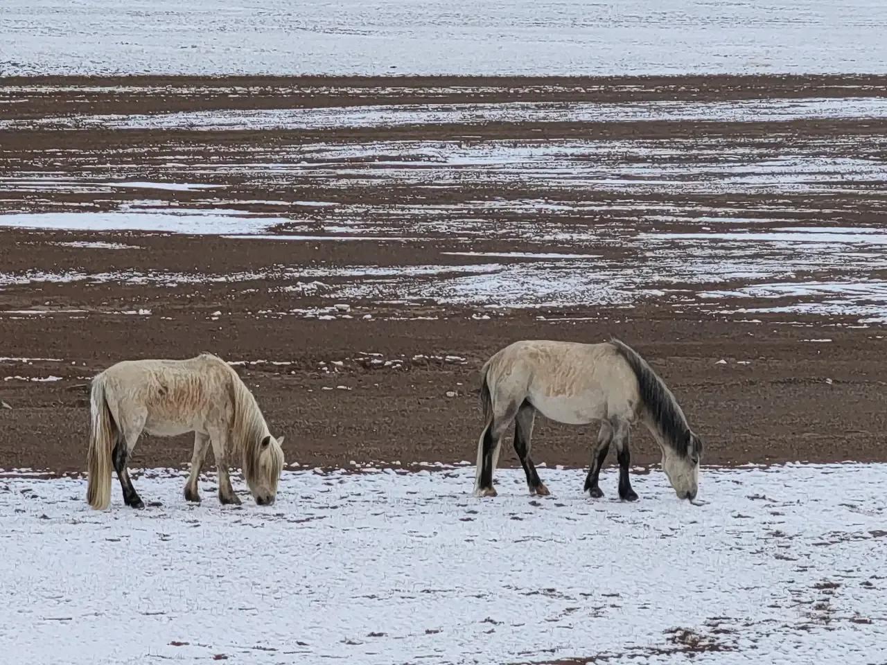 你准备好了去*藏西**吗？我有几项抗高反的建议，希望对你有帮助