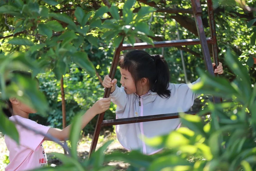 天津春天亲子徒步旅游路线推荐,天津户外徒步一日游推荐