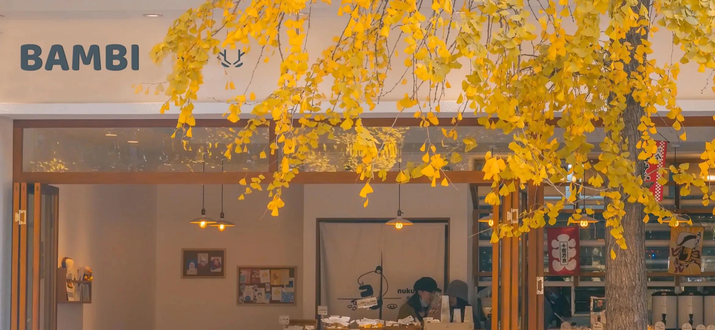 岁月漫长然而值得等待什么意思,总之岁月漫长然而值得等待配图