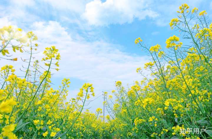 最美心头一亮时初中满分作文,满分作文友谊让生活更美好