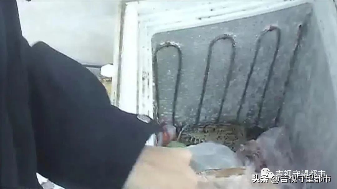 上山套野鸡，“三有动物”当年货？