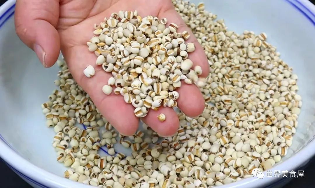 薏仁米单独吃能治湿气吗,薏仁米怎么煮可以祛身体湿气