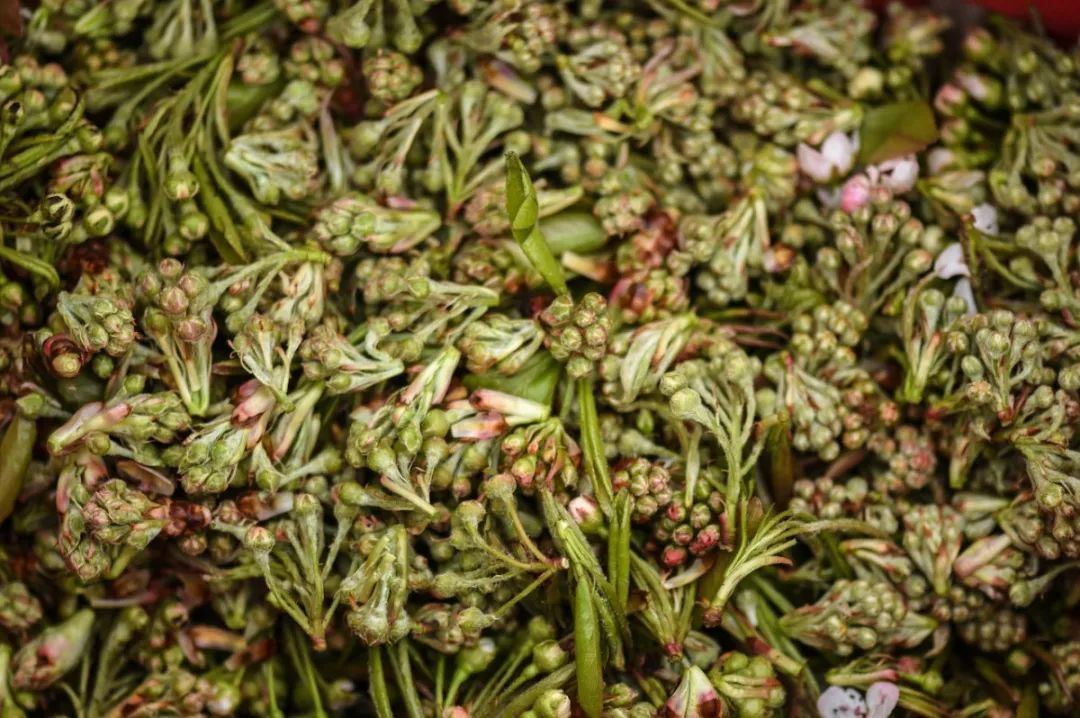 春天来了，“痴花”的您，来彩云之南做个“花吃”吧