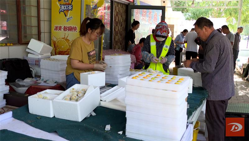 敦煌特产敦煌李广杏成熟上市,敦煌李广杏和其它李广杏的区别