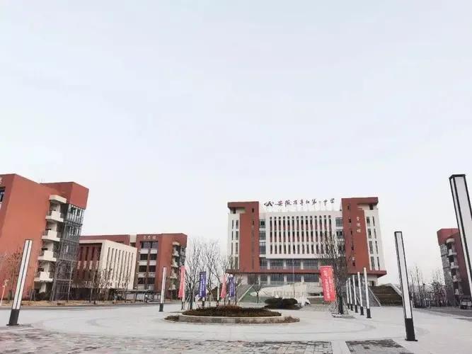 阜阳一中高二,阜阳一中清华北大有几个