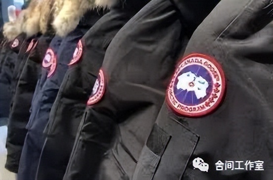 除了加拿大鹅还有哪个牌子好,你还知道哪些国家有加拿大鹅吗