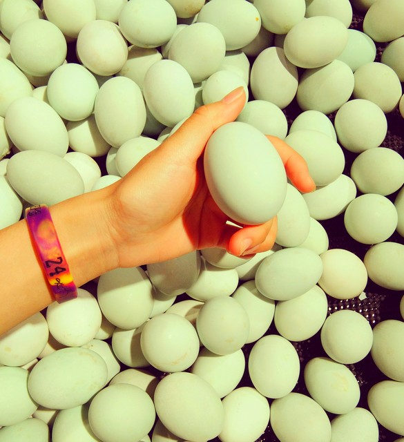 孩子“阴囊”疼是怎么回事…