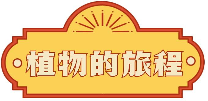 郑州搞文创的这群人新年都在送什么