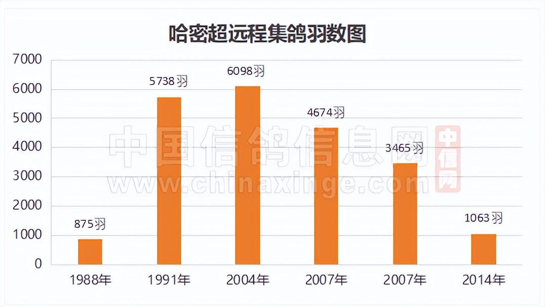 哈密超远程冠军信鸽图片,超远程赛鸽纪录