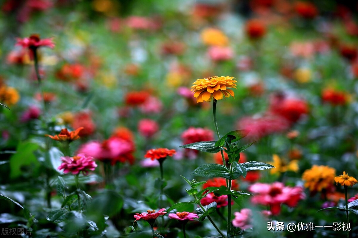 海南企业管理培训大概费用,海南企业培训