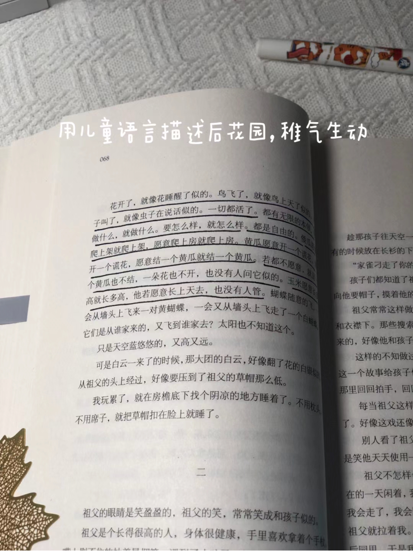 我终于知道鲁迅为什么要写狂人记,我终于知道鲁迅为什么写狂人日记