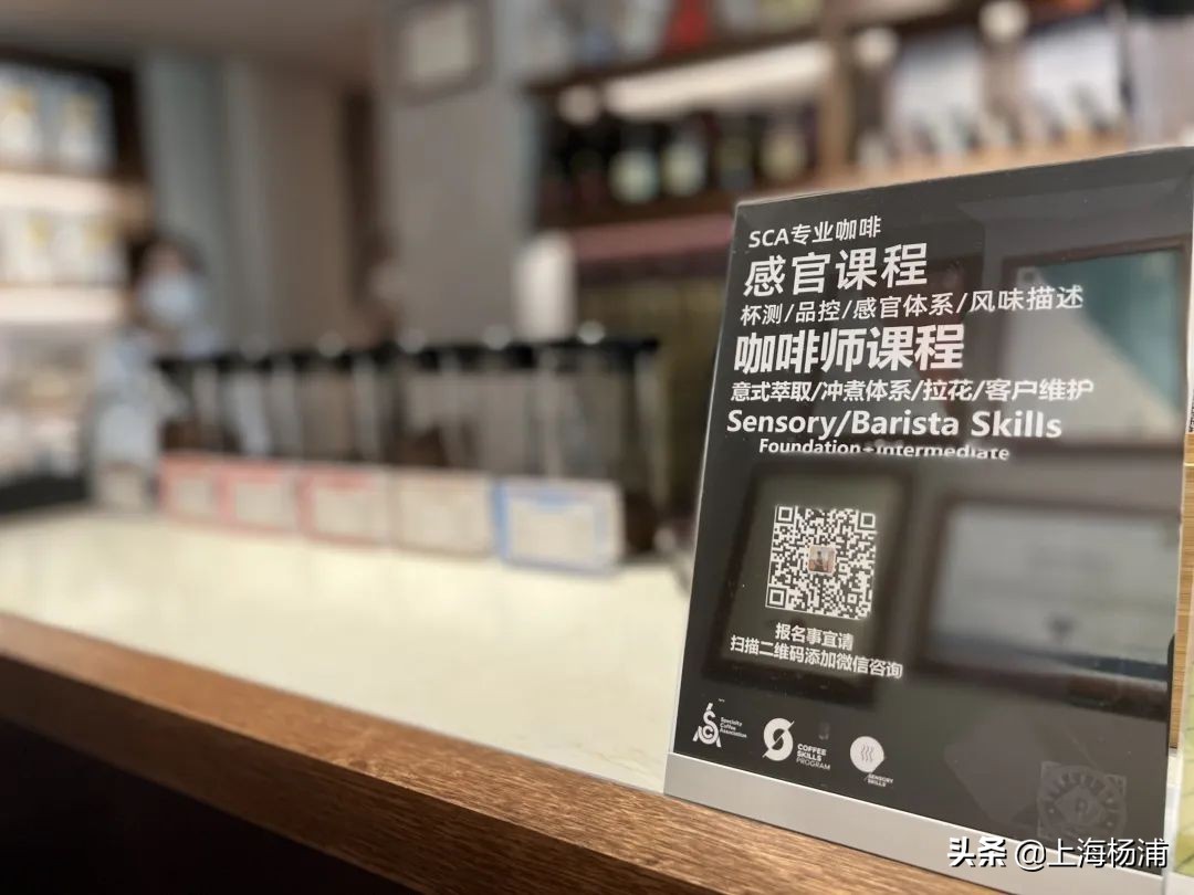 初夏时节，杨浦的小巷深处飘来咖啡香……