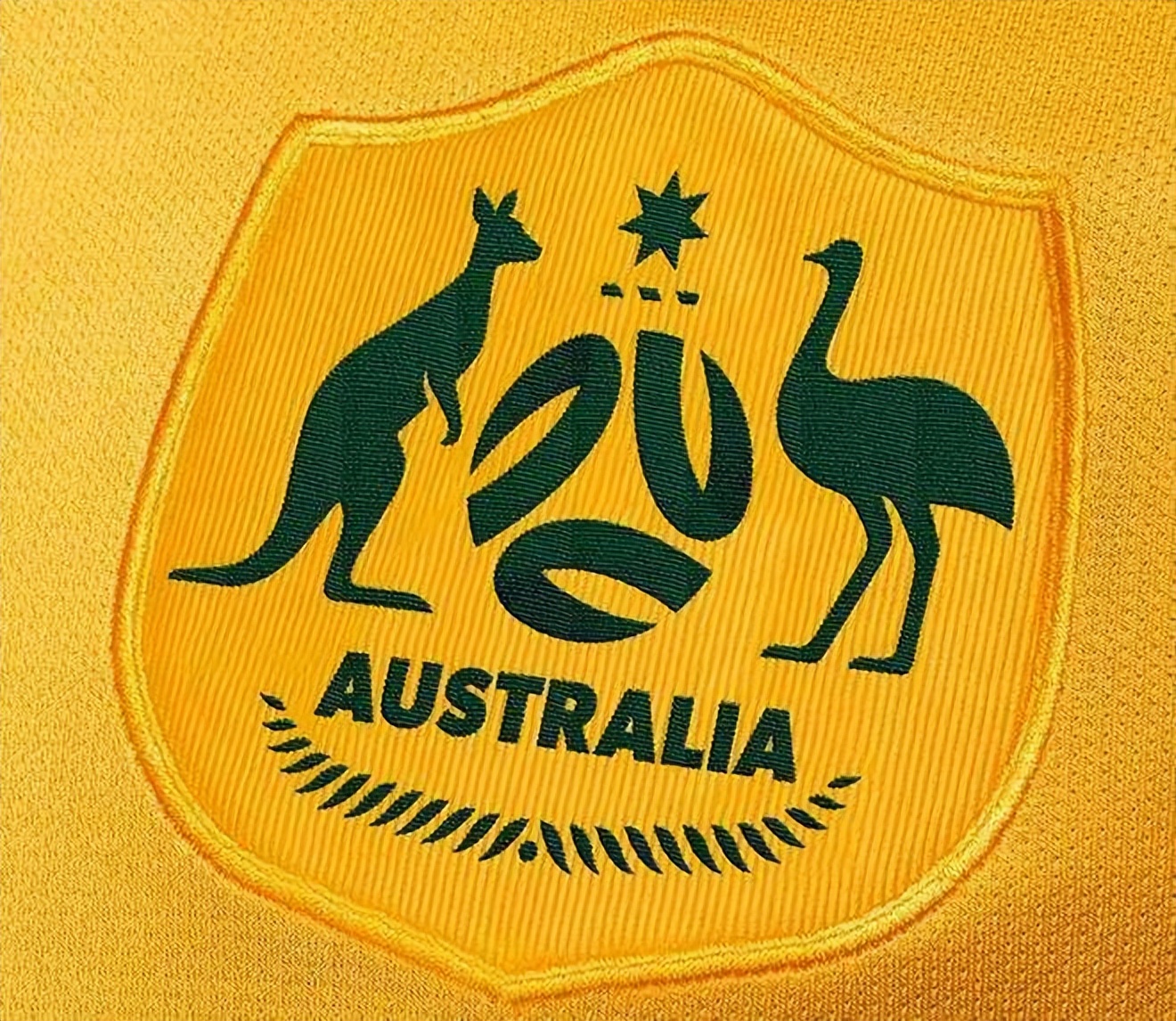 老鹰和狮子谁会赢,老鹰和狮子战斗视频