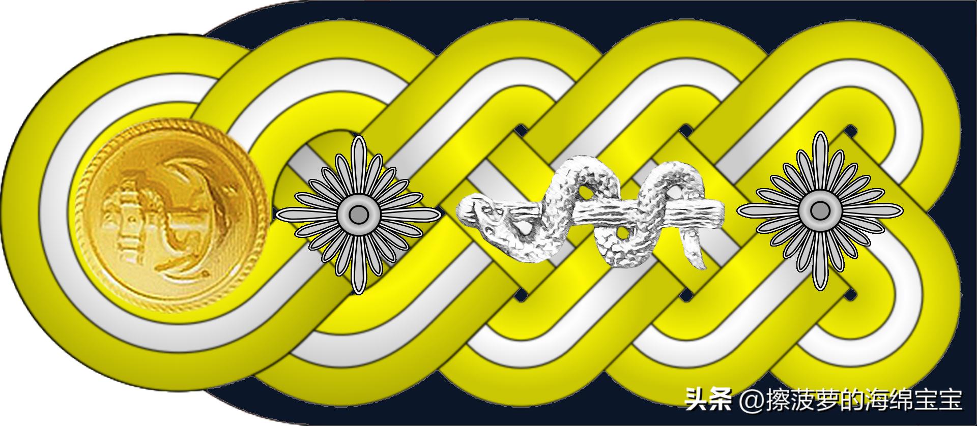 二战德国国防军医疗兵军衔标志