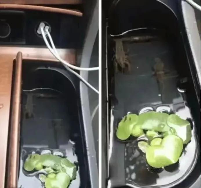 老婆坐同事的副驾驶 (老婆同事坐副驾驶)