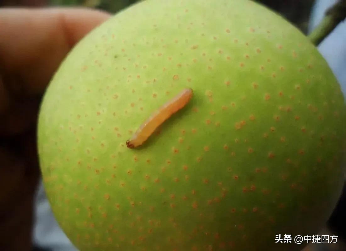 行业难题及解决方案,行业中的挑战与破局之道