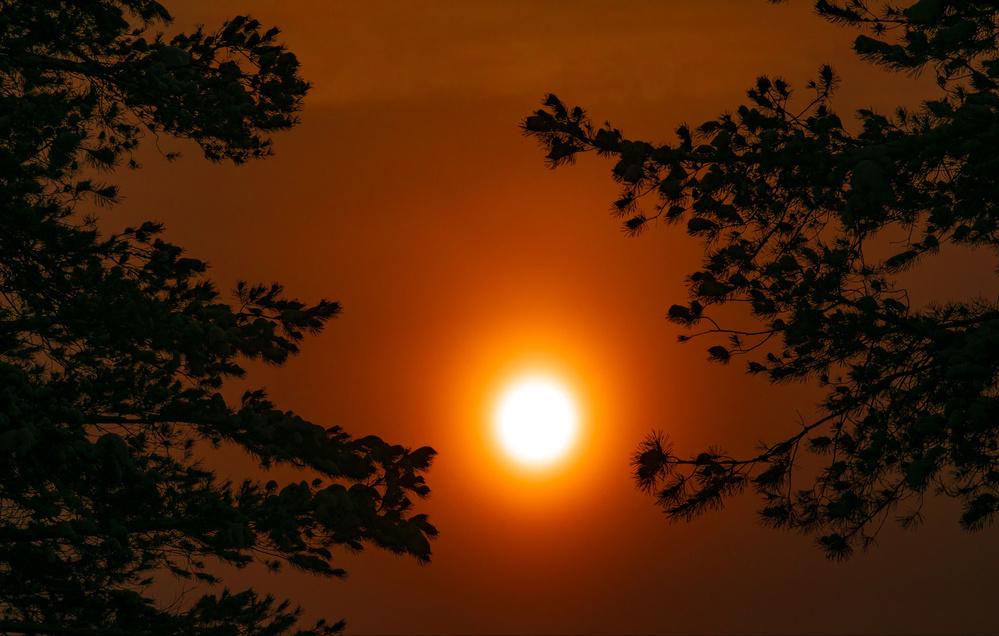 明月如霜好风如水清景无限赏析,明月如霜好风如水清景无限出处