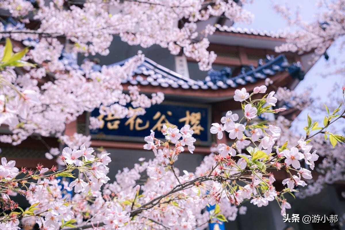 南京室内玩的景点推荐,南京旅游必去的十大景点推荐室内