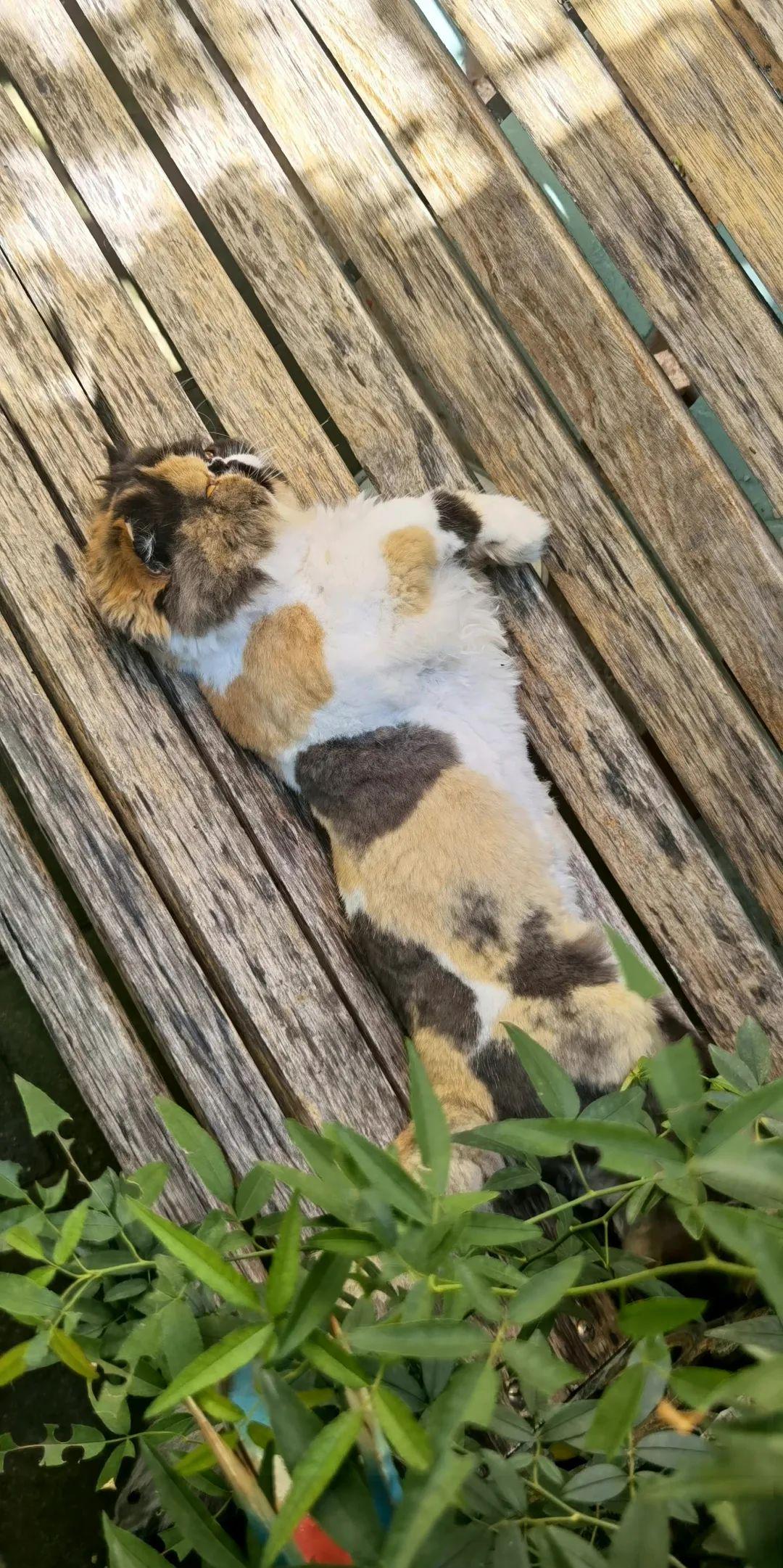 狂飙播出后张颂文有多火,狂飙主演张颂文经纪人