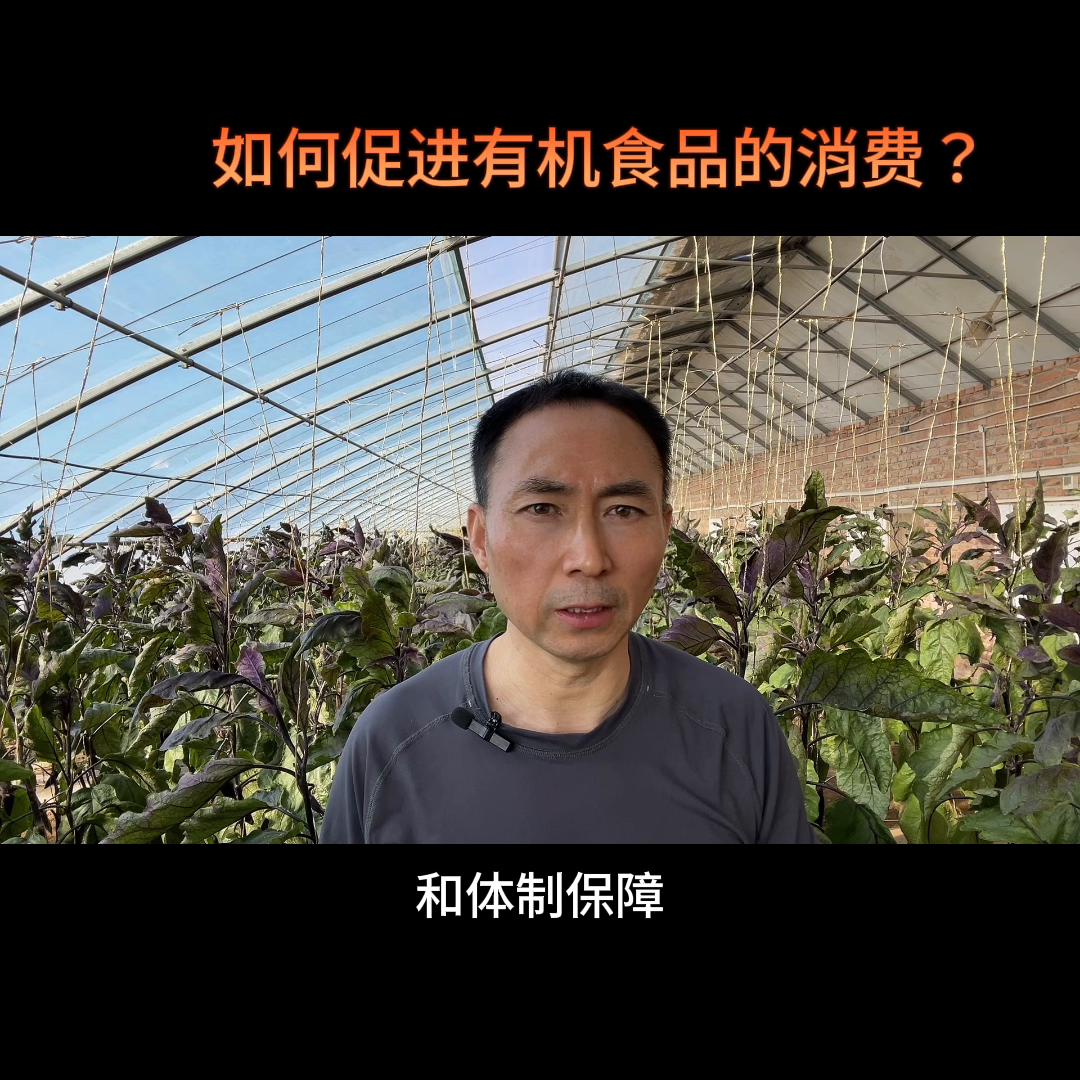 短期食品怎样在抖音运营,有机食品如何抖音运营