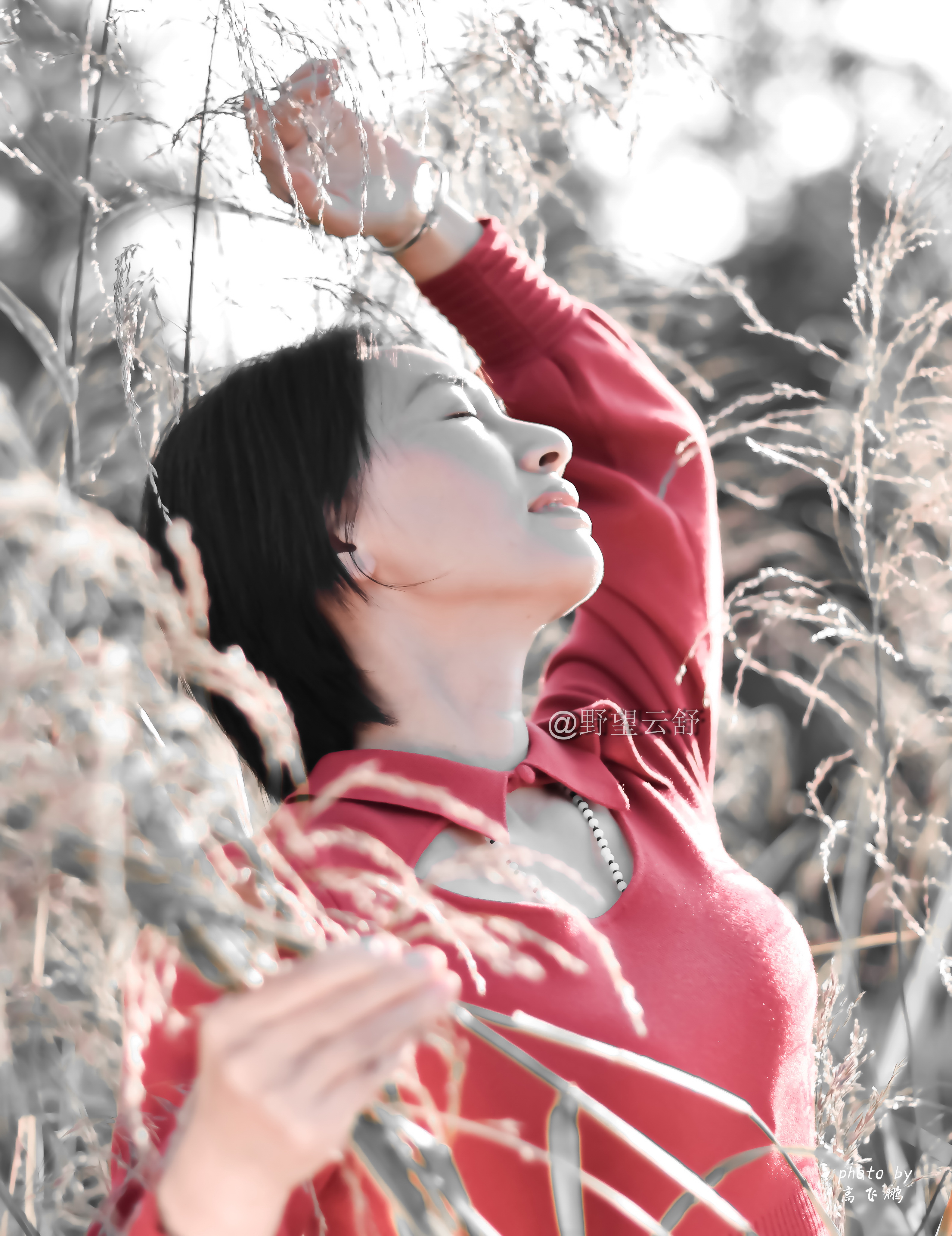 尼康d800中心对焦,尼康d800人脸追焦