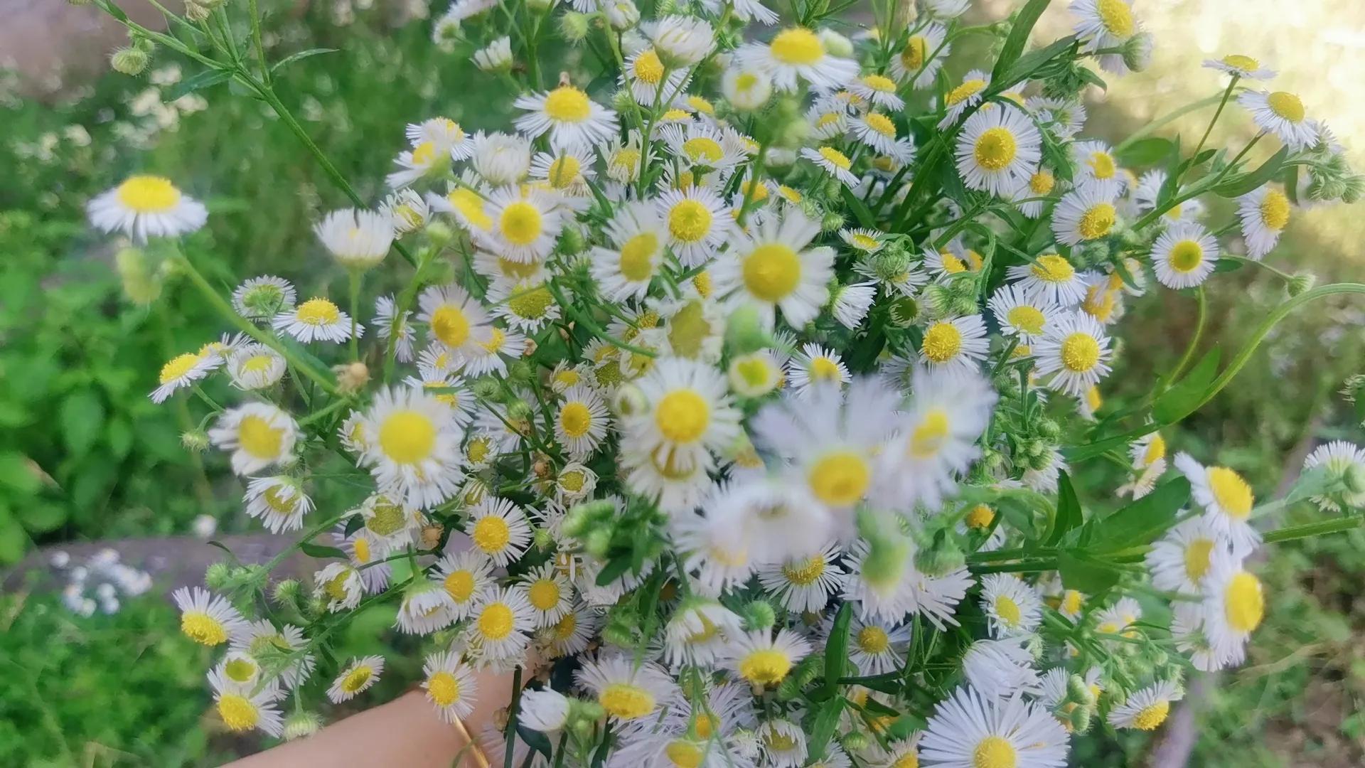 2022年的最后一个月，我被骂的狗屎不如，网暴有多可怕