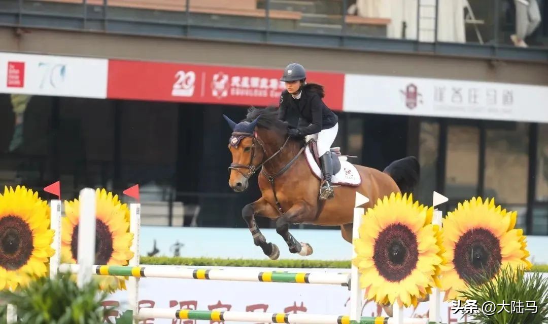 2023FEI马术赛程出炉：鸟巢大师赛接棒杭州亚运会，10月12日回归