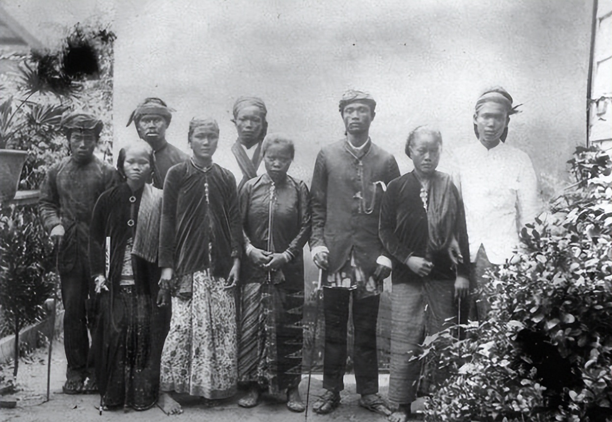 苏里南殖民地,苏里南反向殖民